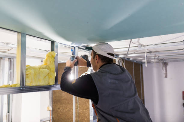 Best Insulation for Specific Applications in Llano Grande, TX