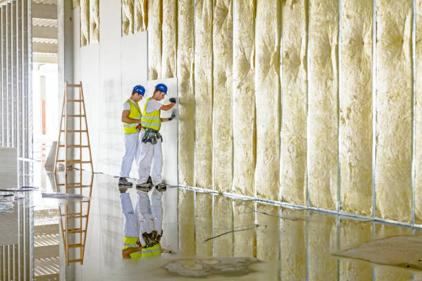 Best Insulation for Specific Applications in Llano Grande, TX